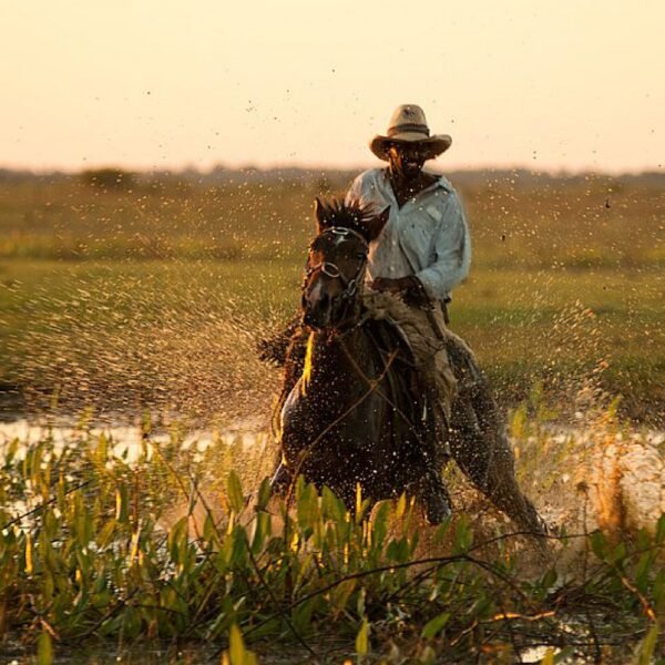 Brasil - Pantanal