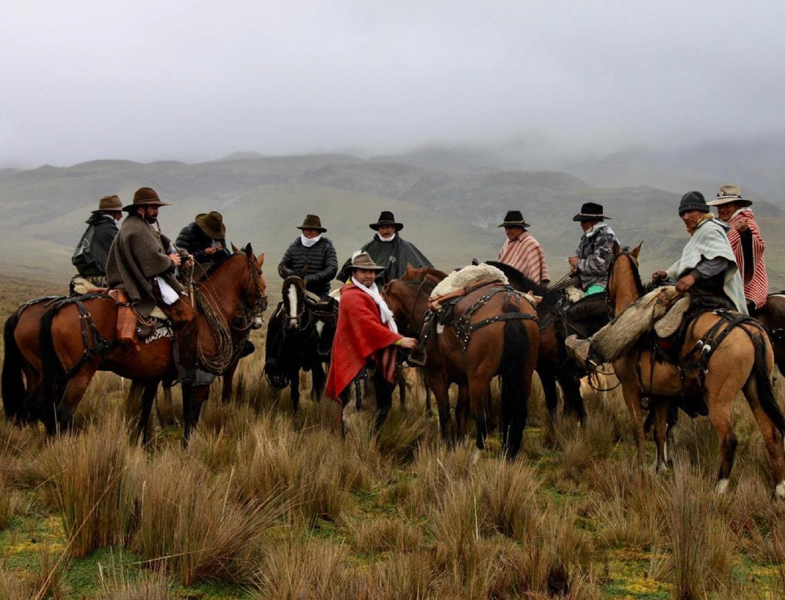 Ecuador - Camino del chagra