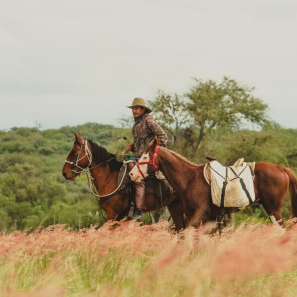 México - Ruta de la Plata