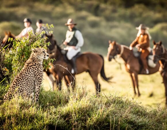 Kenia - Safari África