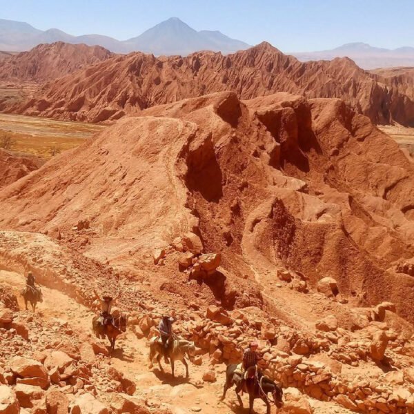 Desierto de Atacama - Chile