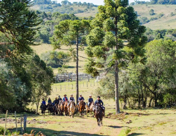 Ruta del Gaucho – Brasil
