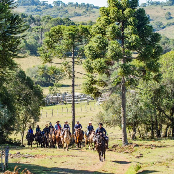 Ruta del Gaucho – Brasil