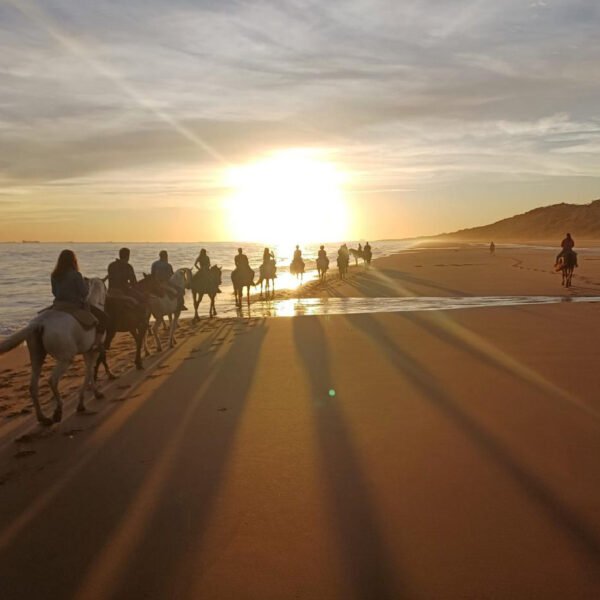 Feria de Sevilla & Andalucía – España