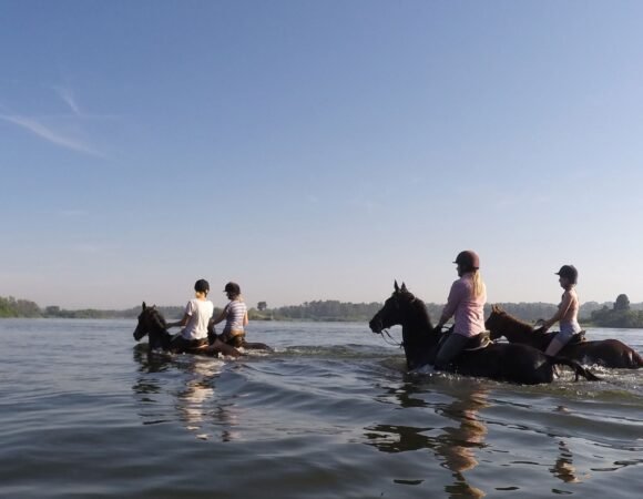 Gorilas & Caballos – Uganda